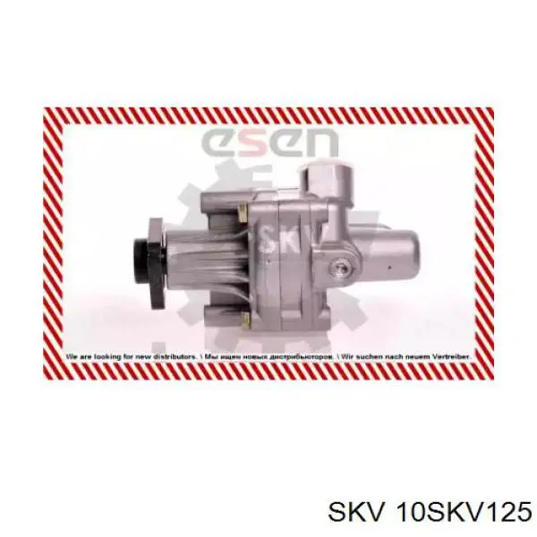 10SKV125 SKV насос гідропідсилювача керма (гпк)