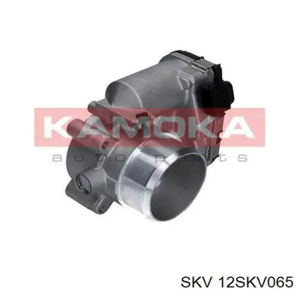 Купити 12SKV065 SKV Дросільна заслінка