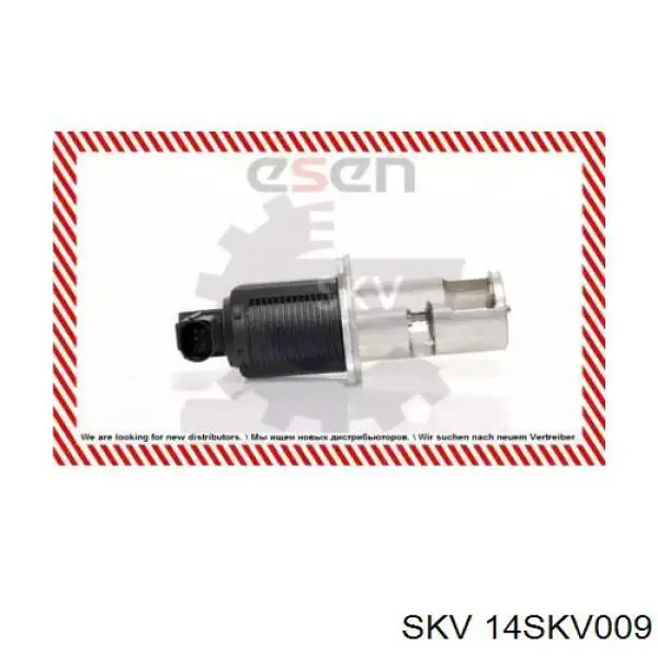 14SKV009 SKV клапан egr, рециркуляції газів