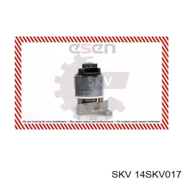 Клапан EGR, рециркуляції газів 14SKV017 SKV