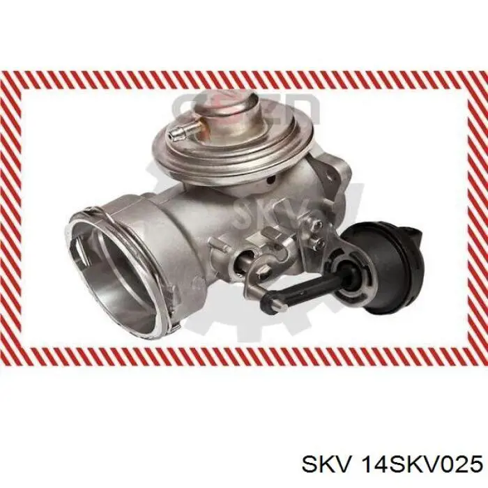 Клапан EGR, рециркуляції газів 14SKV025 SKV