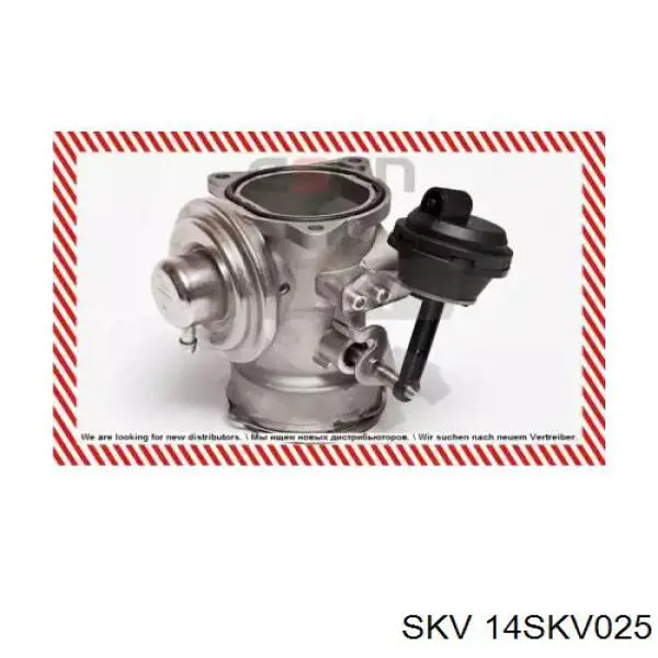 Клапан EGR рециркуляції газів SKV 14SKV025