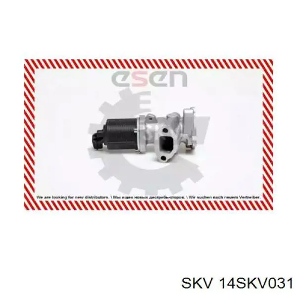 Клапан EGR, рециркуляції газів 14SKV031 SKV