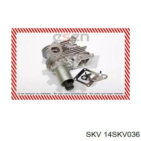 Клапан EGR, рециркуляції газів 14SKV036 SKV