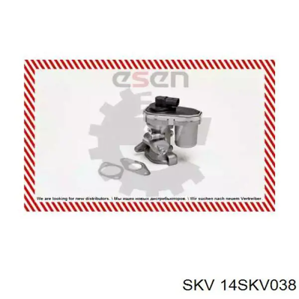 Клапан EGR, рециркуляції газів 14SKV038 SKV