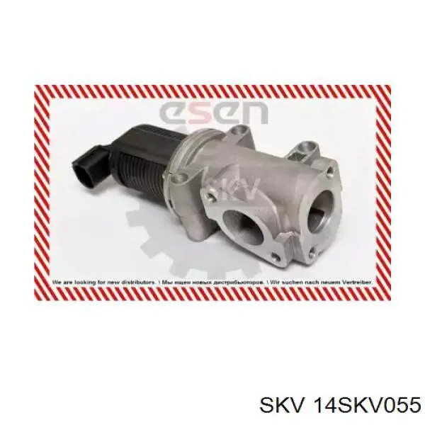 Клапан EGR, рециркуляції газів 14SKV055 SKV