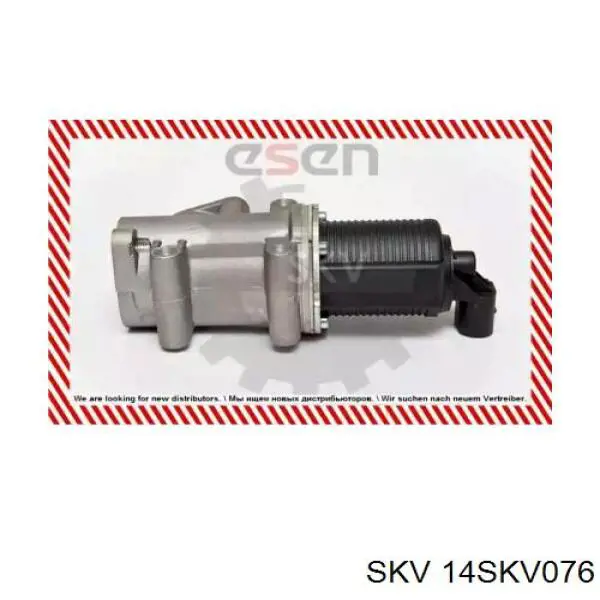 Клапан EGR, рециркуляції газів 14SKV076 SKV