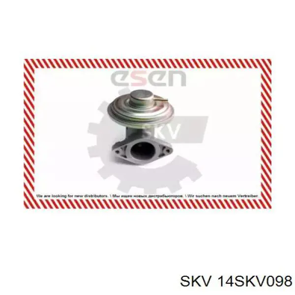 Клапан EGR, рециркуляції газів 14SKV098 SKV