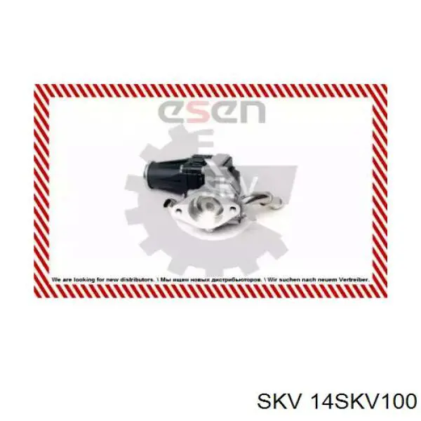 Клапан EGR, рециркуляції газів 14SKV100 SKV