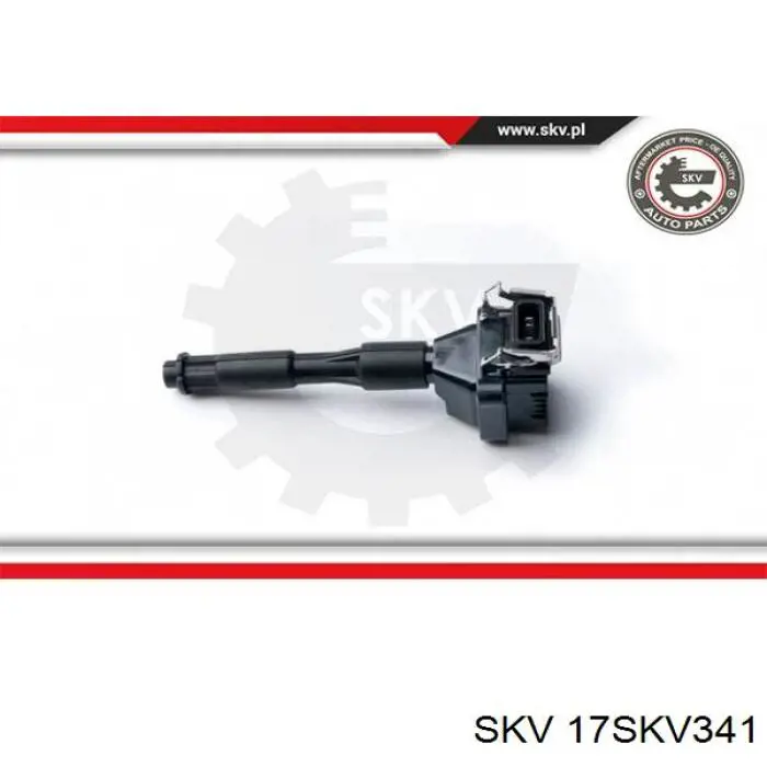 Датчик температури навколишнього середовища SKV 17SKV341