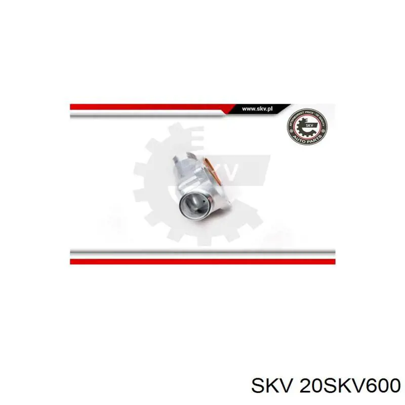 Термостат в зборі SKV 20SKV600
