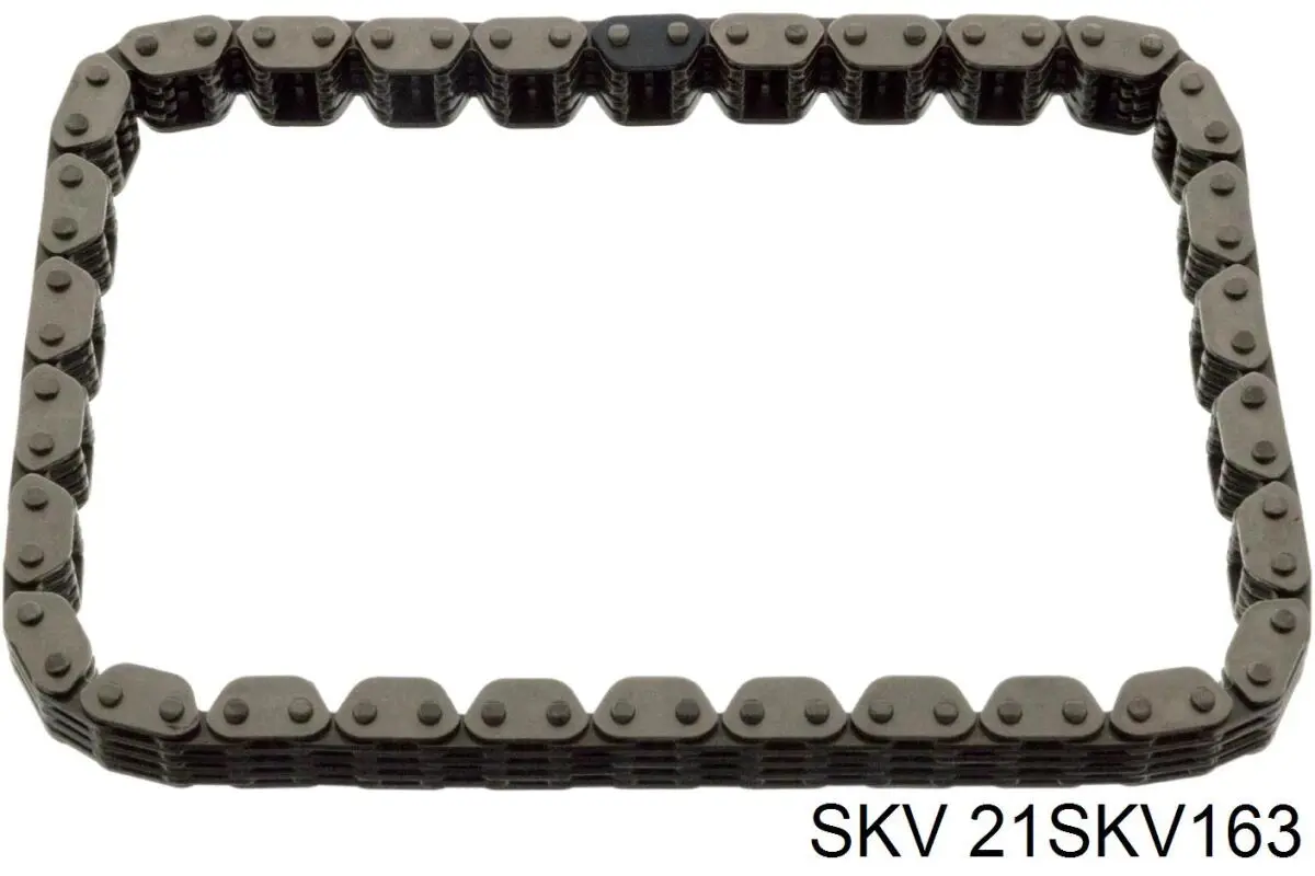 Комплект ланцюга ГРМ 21SKV163 SKV