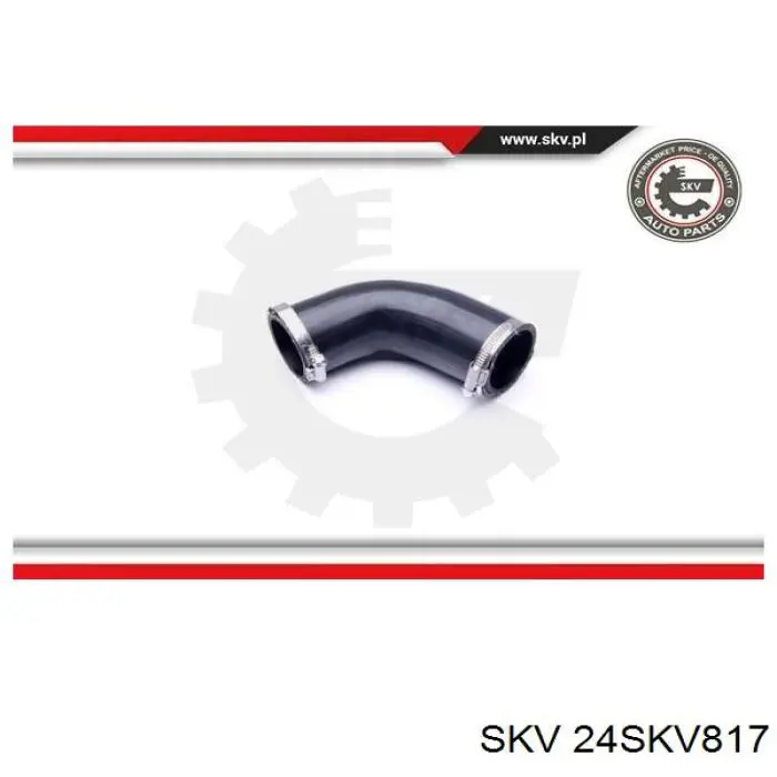 Купити DCV082TT Thermotec Шланг/патрубок интеркуллера