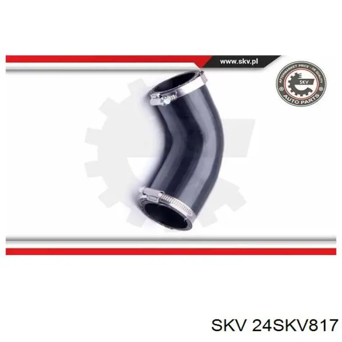  24SKV817 SKV