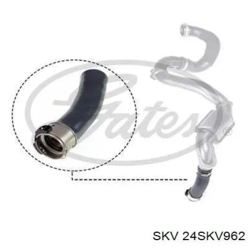 Купити DCM137TT Thermotec Шланг/патрубок интеркуллера