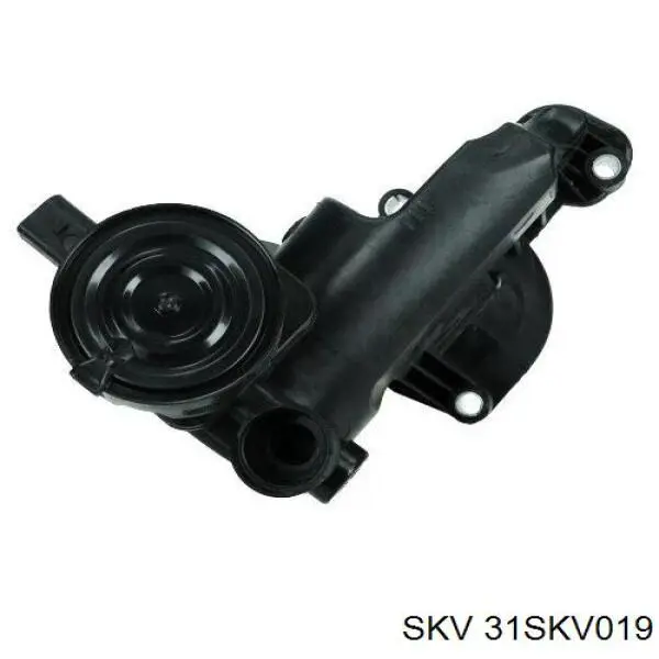 Масловіддільник газів SKV 31SKV019