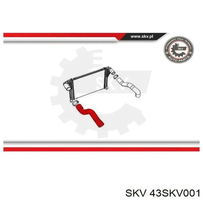  Thermotec DCY007TT ціна, від 58.34 USD