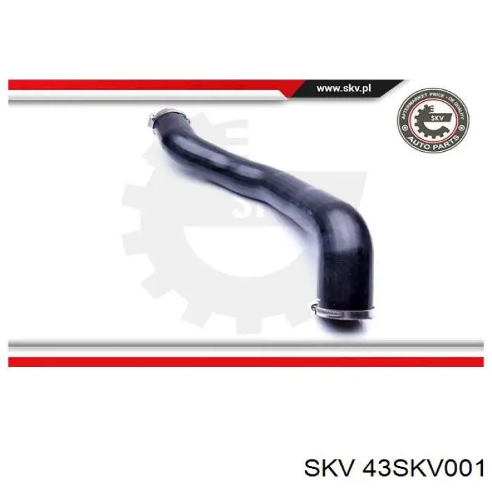 DCY007TT Thermotec 