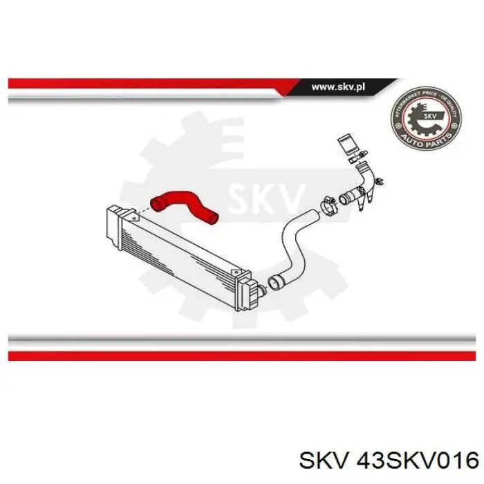 Шланг/патрубок інтеркулера, правий 43SKV016 SKV