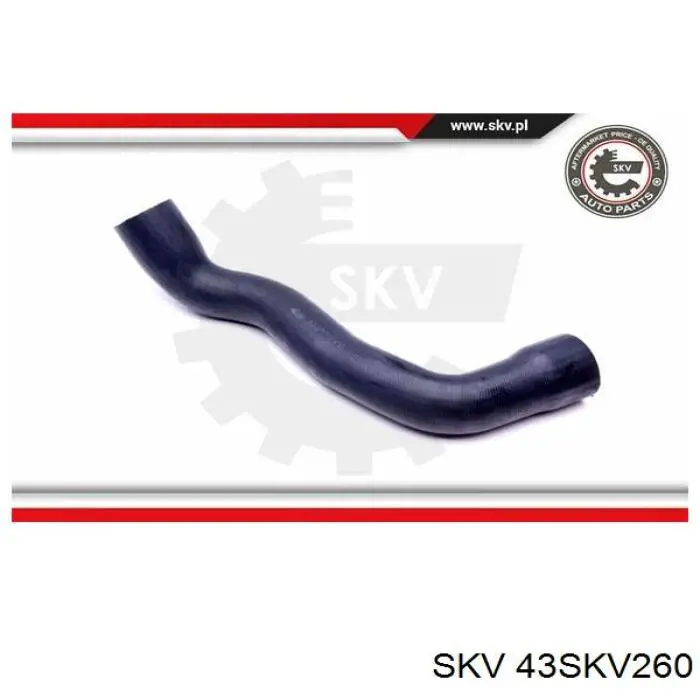 Купити DCV070TT Thermotec Шланг/патрубок интеркуллера