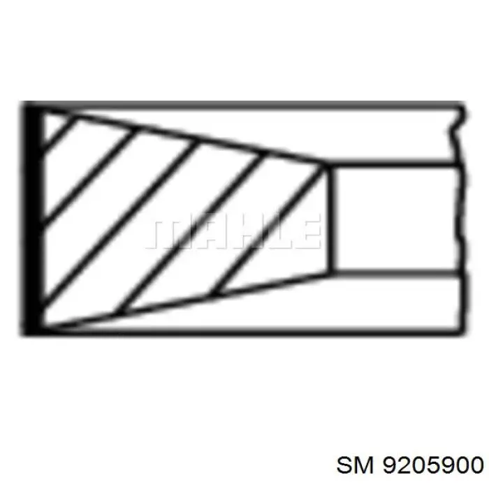 9205900 SM Кільця поршневі на 1 циліндр, STD.