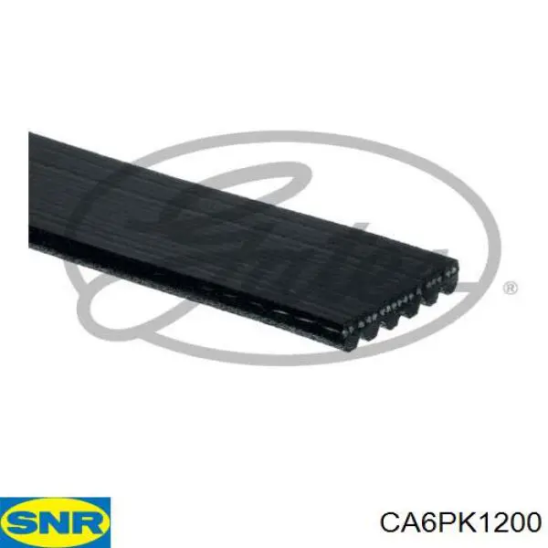 Клиновий ремінь SNR CA6PK1200 ціна, від 11.70 USD