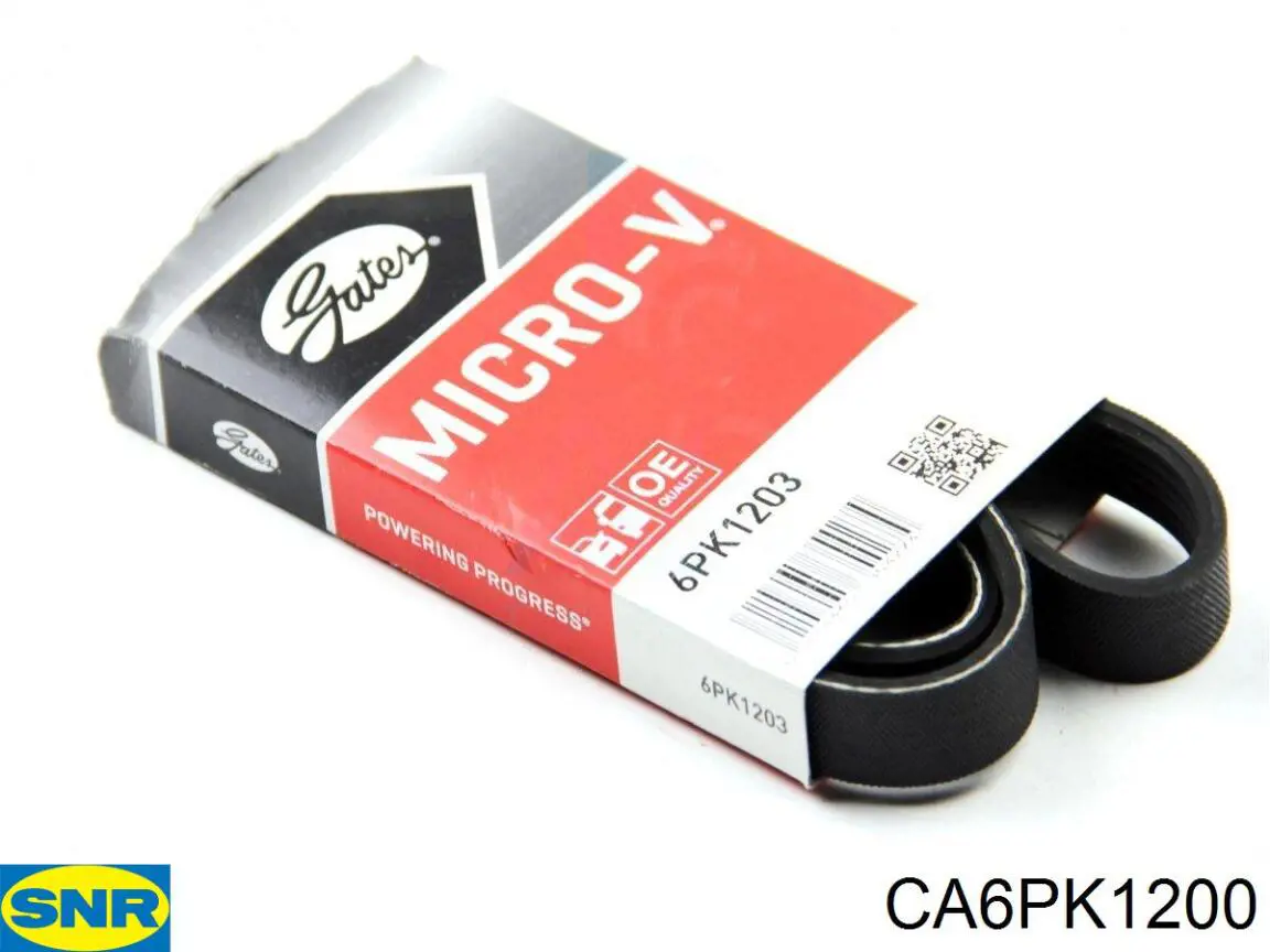 Купити CA6PK1200 SNR Ремінь генератора