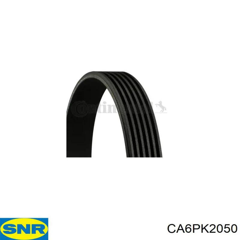 Купити CA6PK2050 SNR Ремінь генератора