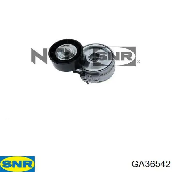 MPQ1213 Magneti Marelli Натяжна планка поліклинового ременя