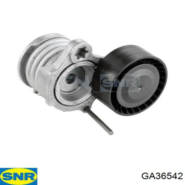 Натягувач приводного ременя Magneti Marelli MPQ1213 ціна, від 12.21 USD