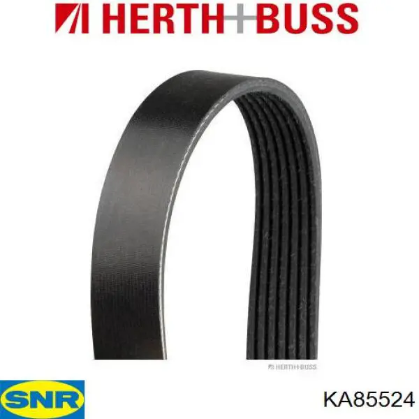 Купити KA85524 SNR Ремінь приводний, агрегатів, комплект