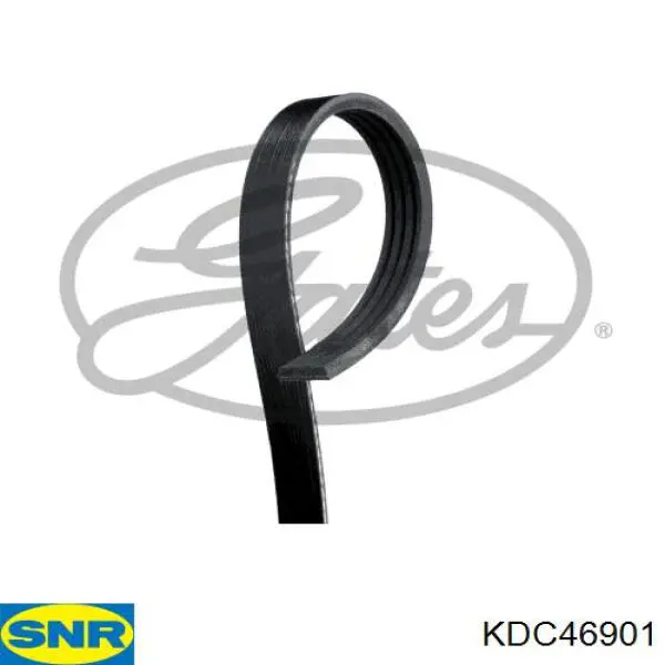Купити KDC46901 SNR Комплект ланцюга ГРМ