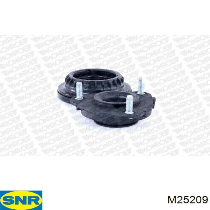  M25209 SNR