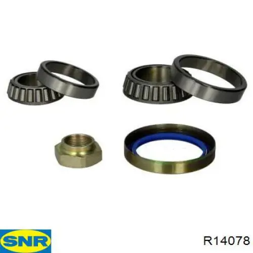 Купити R14078 SNR Підшипник задньої ступиці