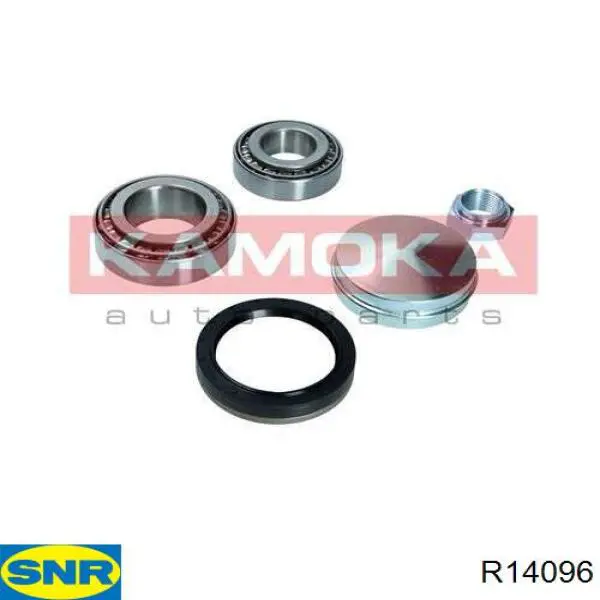 Купити R14096 SNR Підшипник задньої ступиці
