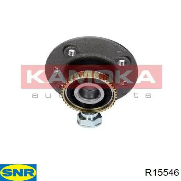 Маточини задніх коліс SNR R15546 ціна, від 25.76 USD