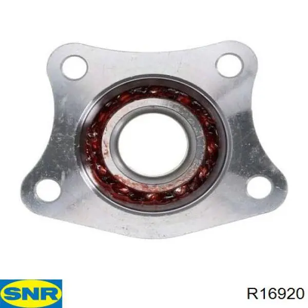 Маточина заднього колеса SNR R16920