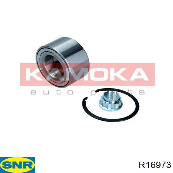 Купити R16973 SNR Підшипник ступиці передньої