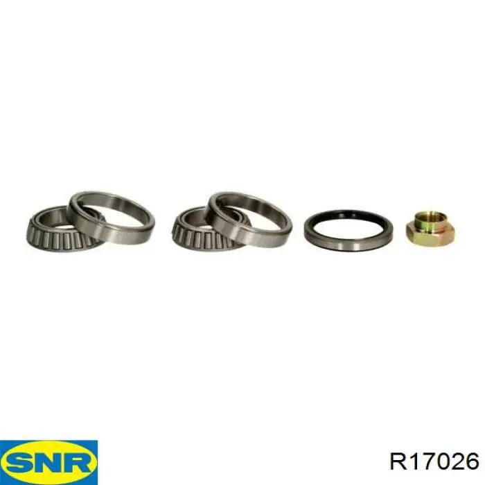 Купити R17026 SNR Підшипник ступиці передньої