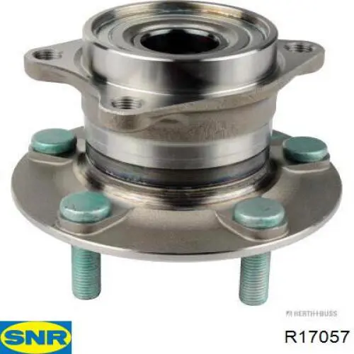Купити R17057 SNR Підшипник ступиці колеса