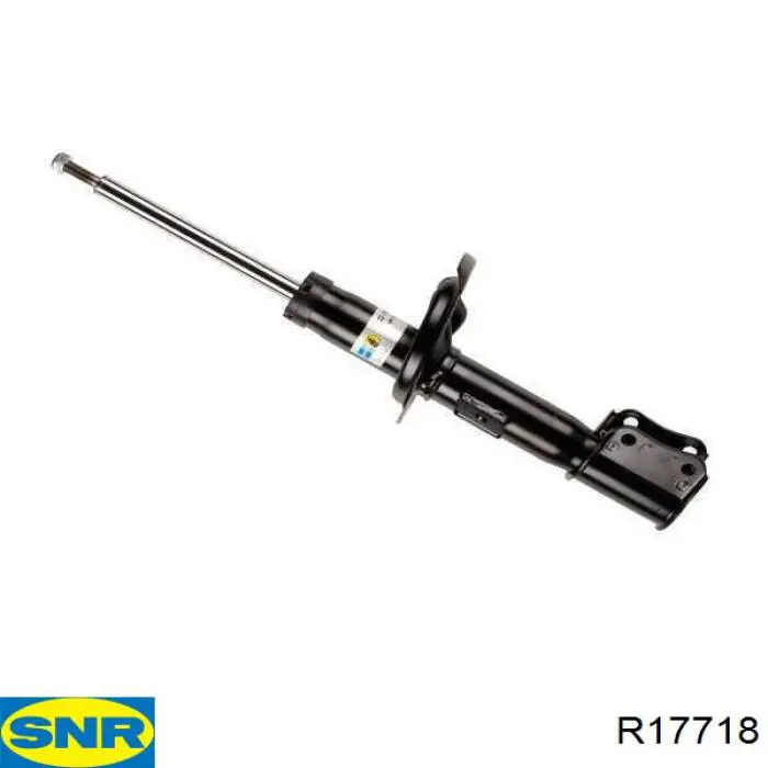 Маточина заднього колеса SNR R17718