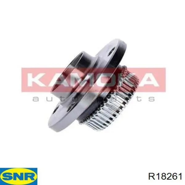 Маточина заднього колеса SNR R18261