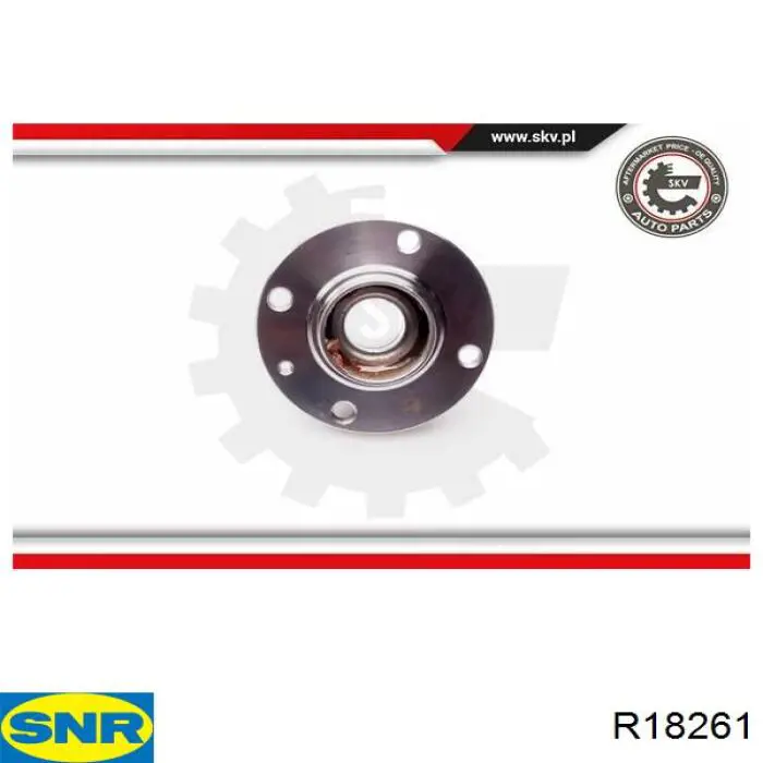 Маточини задніх коліс SNR R18261 ціна, від 30.65 USD