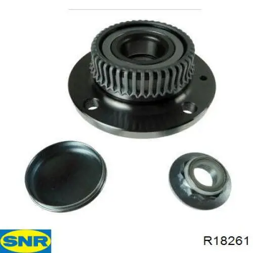 Купити R18261 SNR Підшипник ступиці колеса