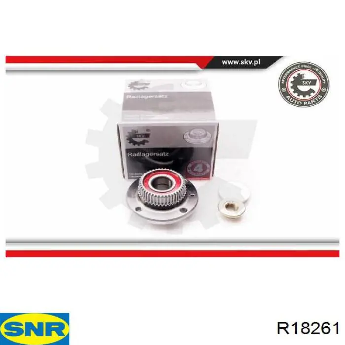 Маточини задніх коліс SNR R18261 ціна, від 30.65 USD