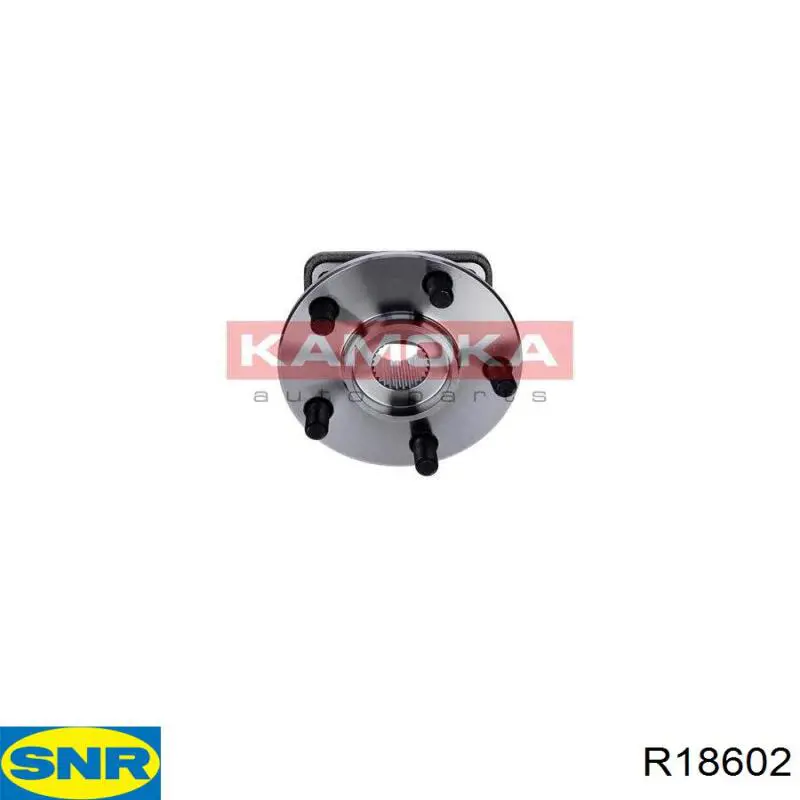 Купити R18602 SNR Маточини передніх коліс