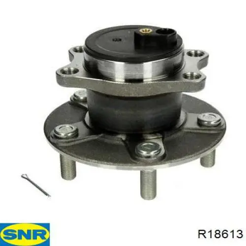 Купити R18613 SNR Підшипник ступиці колеса