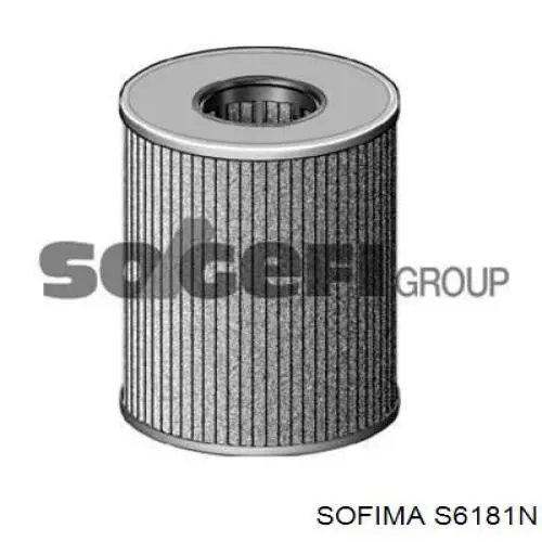 Фільтр паливний S6181N Sofima