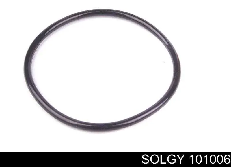 Масляний фільтр 101006 Solgy