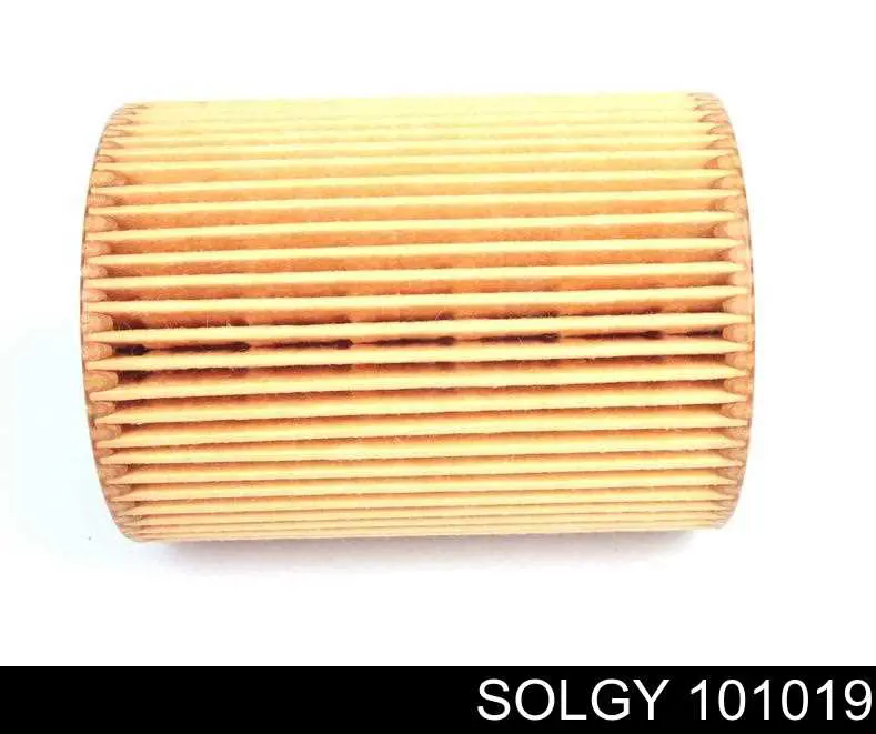 Масляний фільтр 101019 Solgy